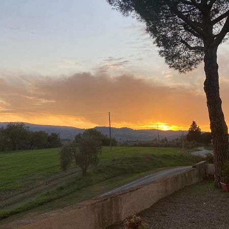 Tognazzi Casa Vacanze - La Collina di San Gimignano Esterno foto